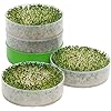 Kitchen Crop - Deluxe Sprouter