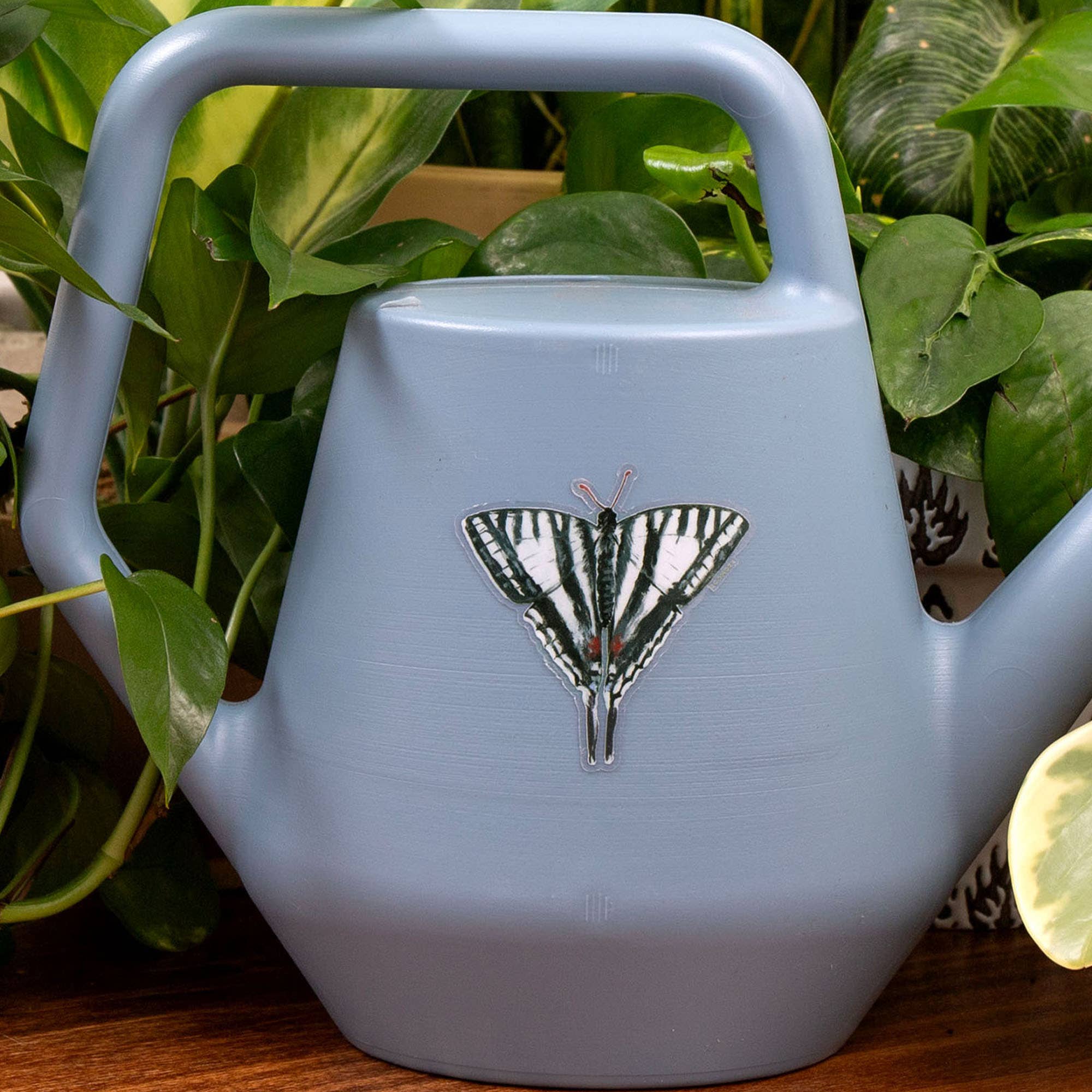 Zebra Swallowtail Butterfly Clear Decal Sticker