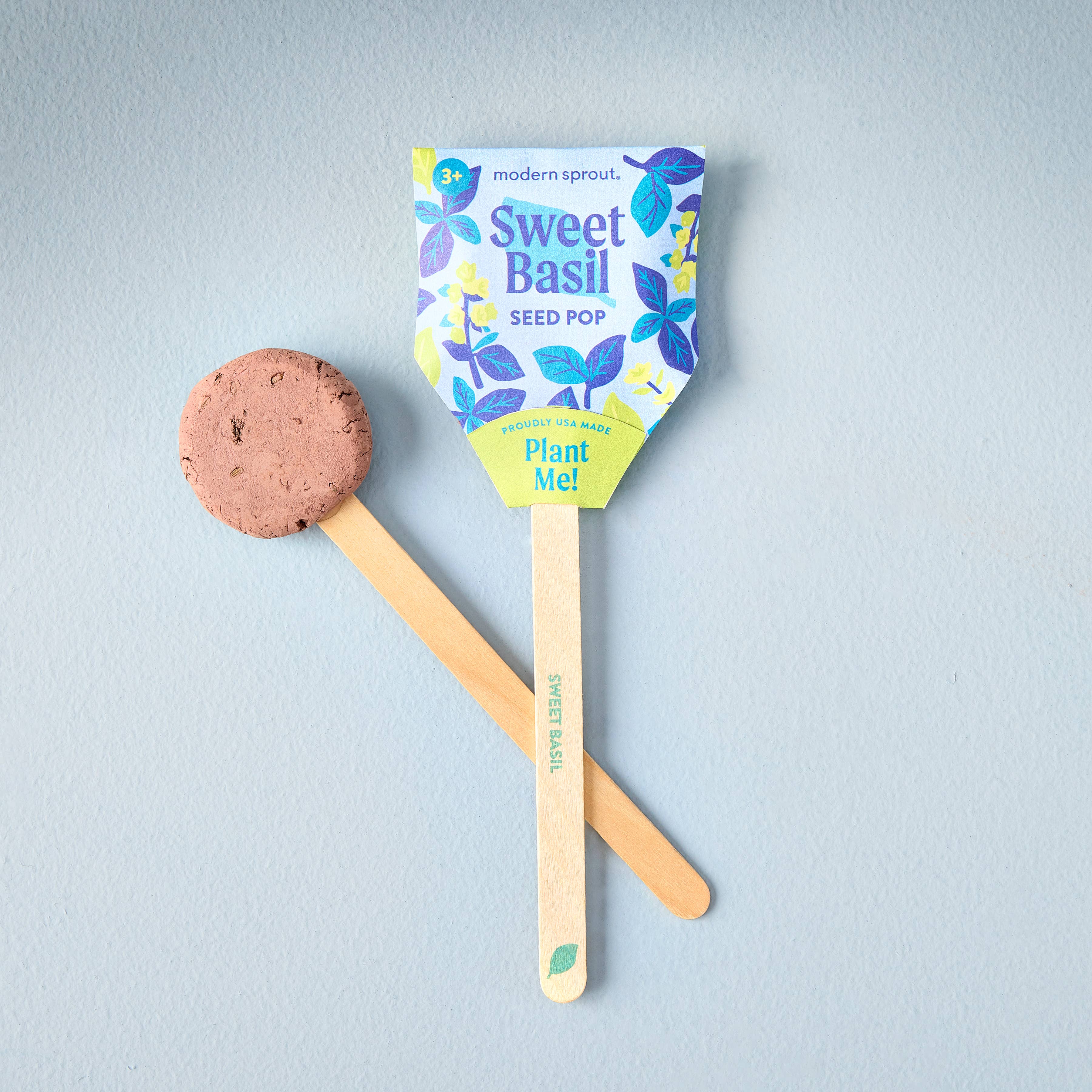 Veggie Garden Seed Pops packaging back with instructions