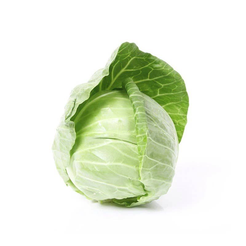 Cabbage Copenhagen seed packet back with planting instructions
