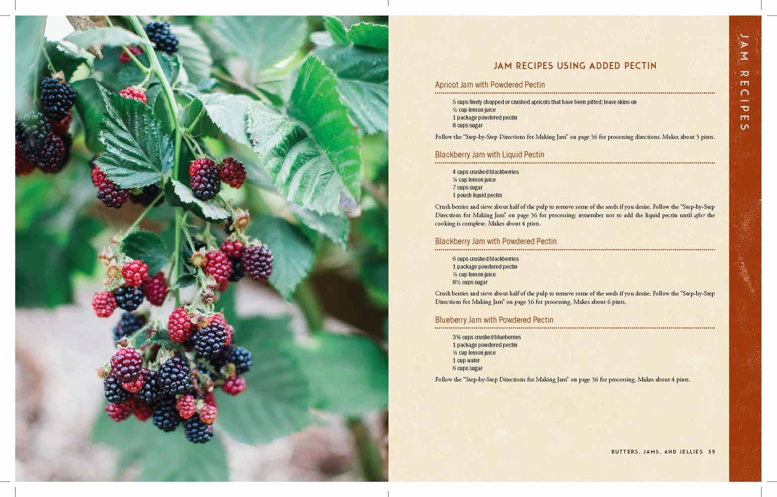 The Homestead Canning Cookbook book back cover