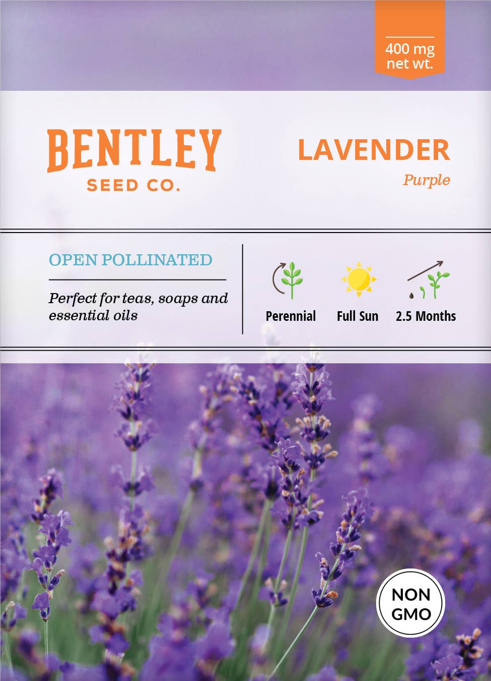 Lavender plant seed packet for home gardens