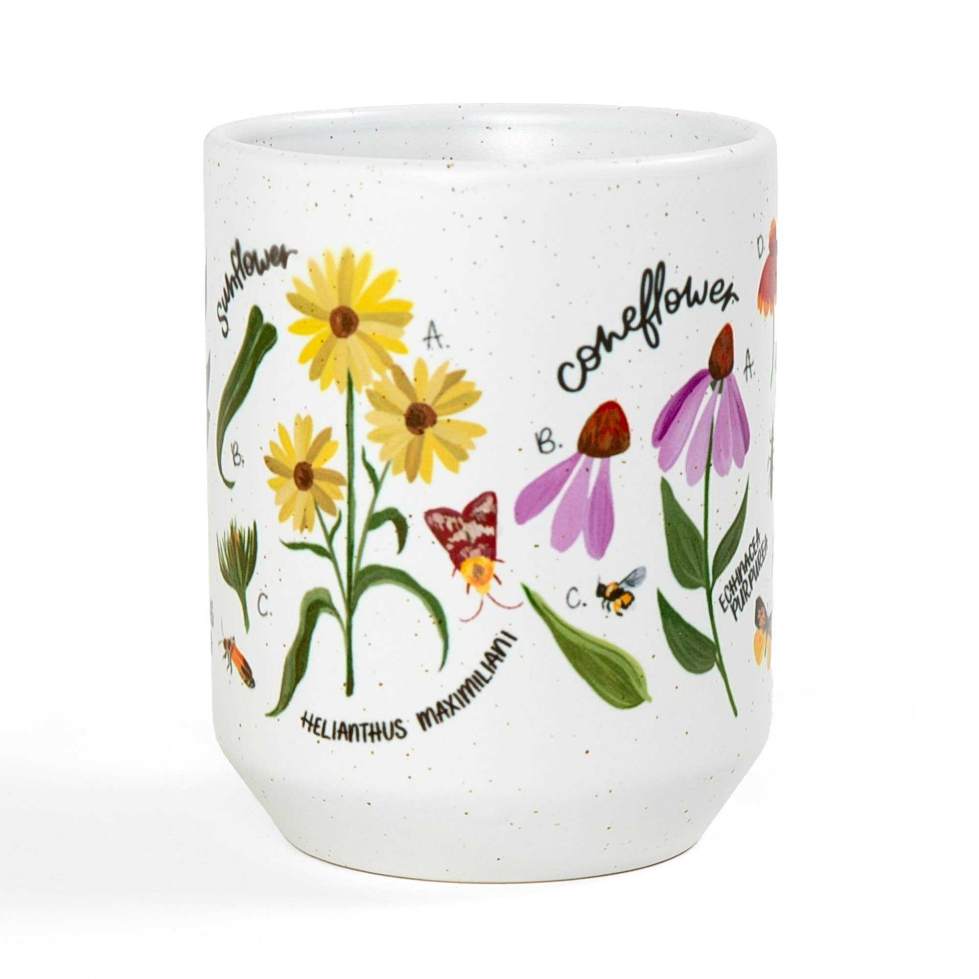 Wildflower Botanicals Mug