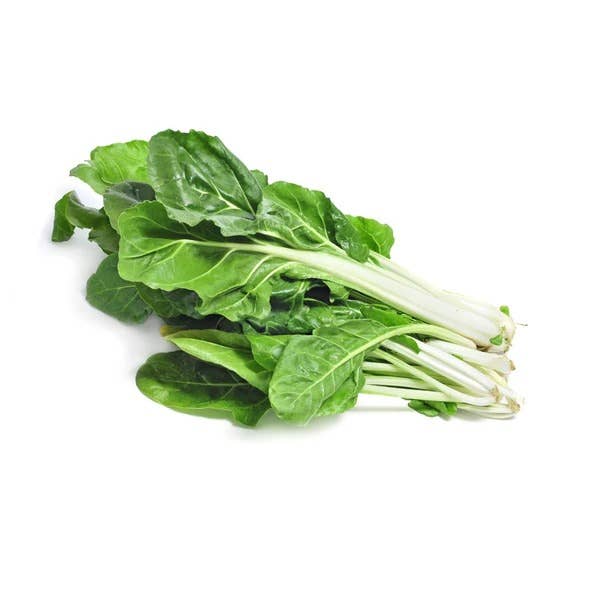 Fordhook Giant Swiss chard mature green leaves