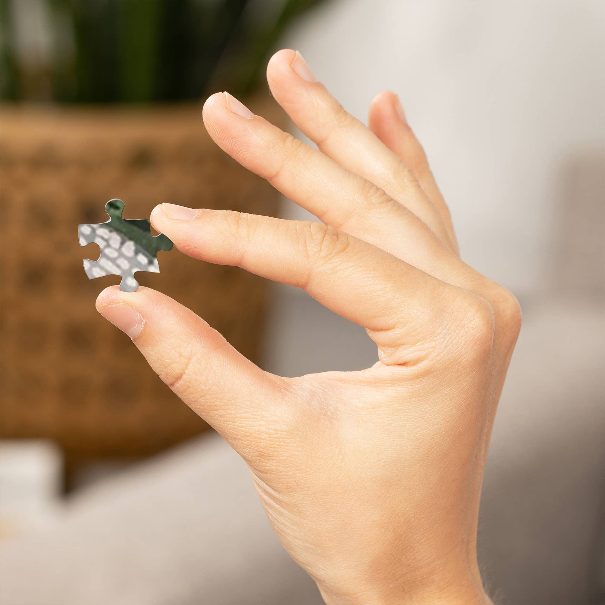 1000 PIECE PUZZLE Texas, Armadillo