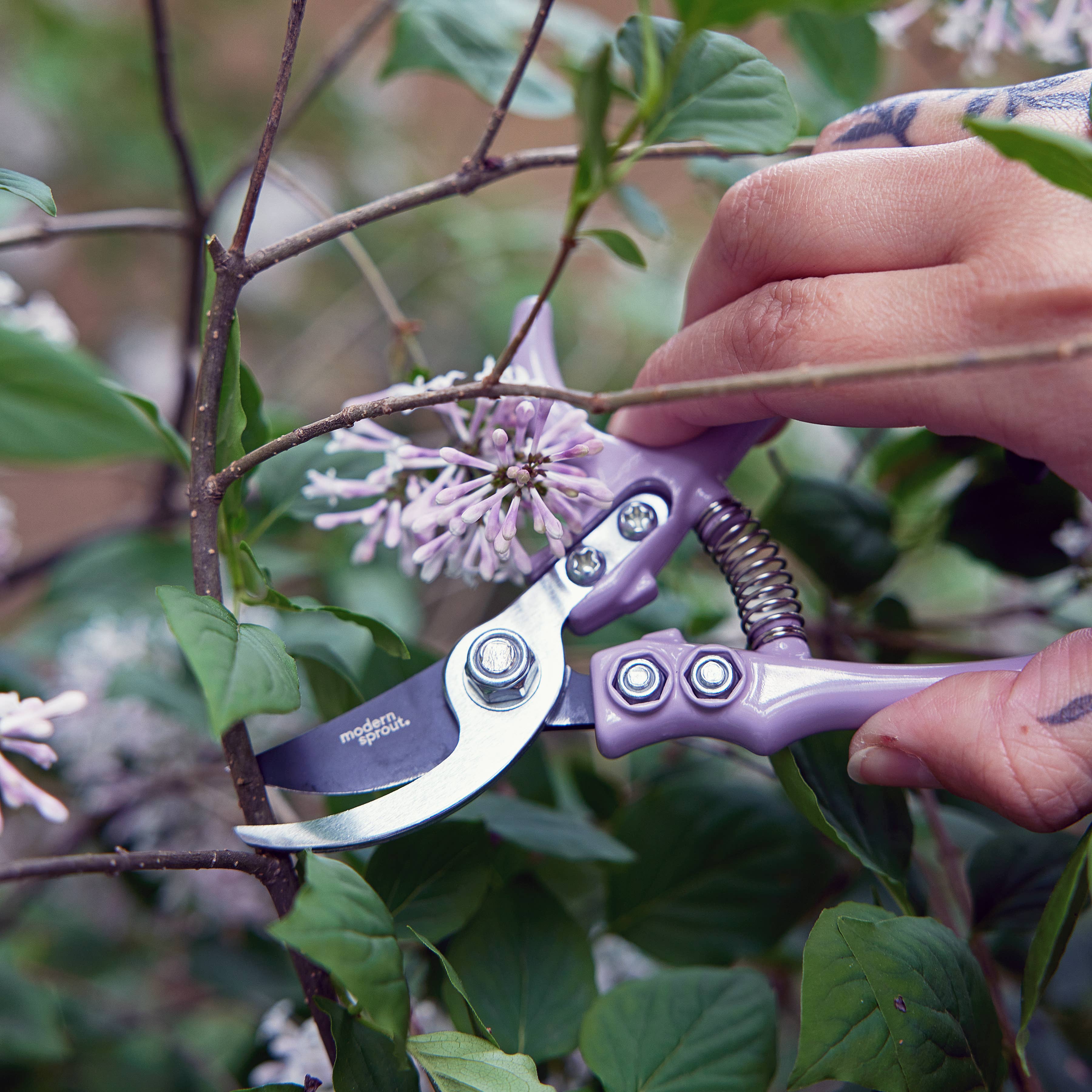 Colorful garden pruners open blade detail