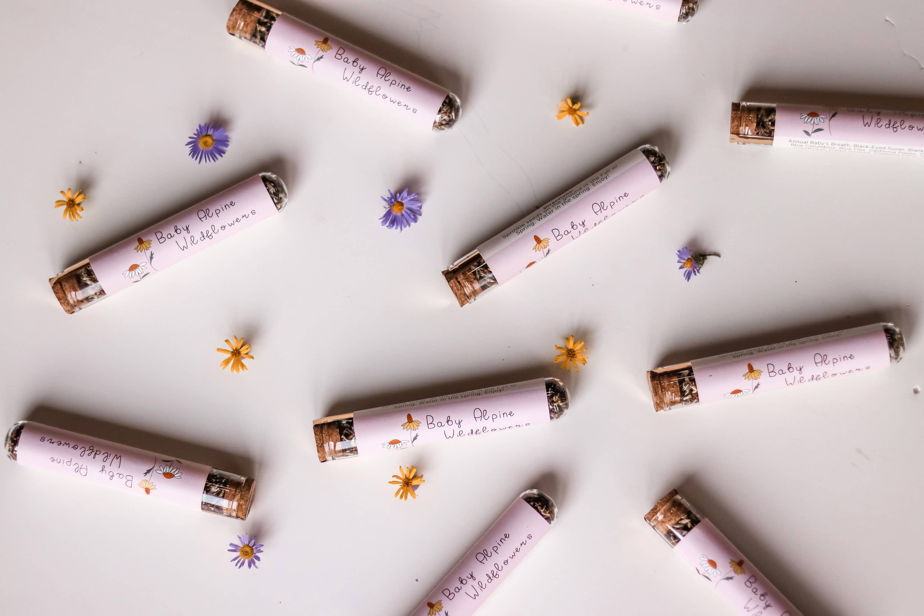 Southwest Wildflower Seed Mix packet back with details