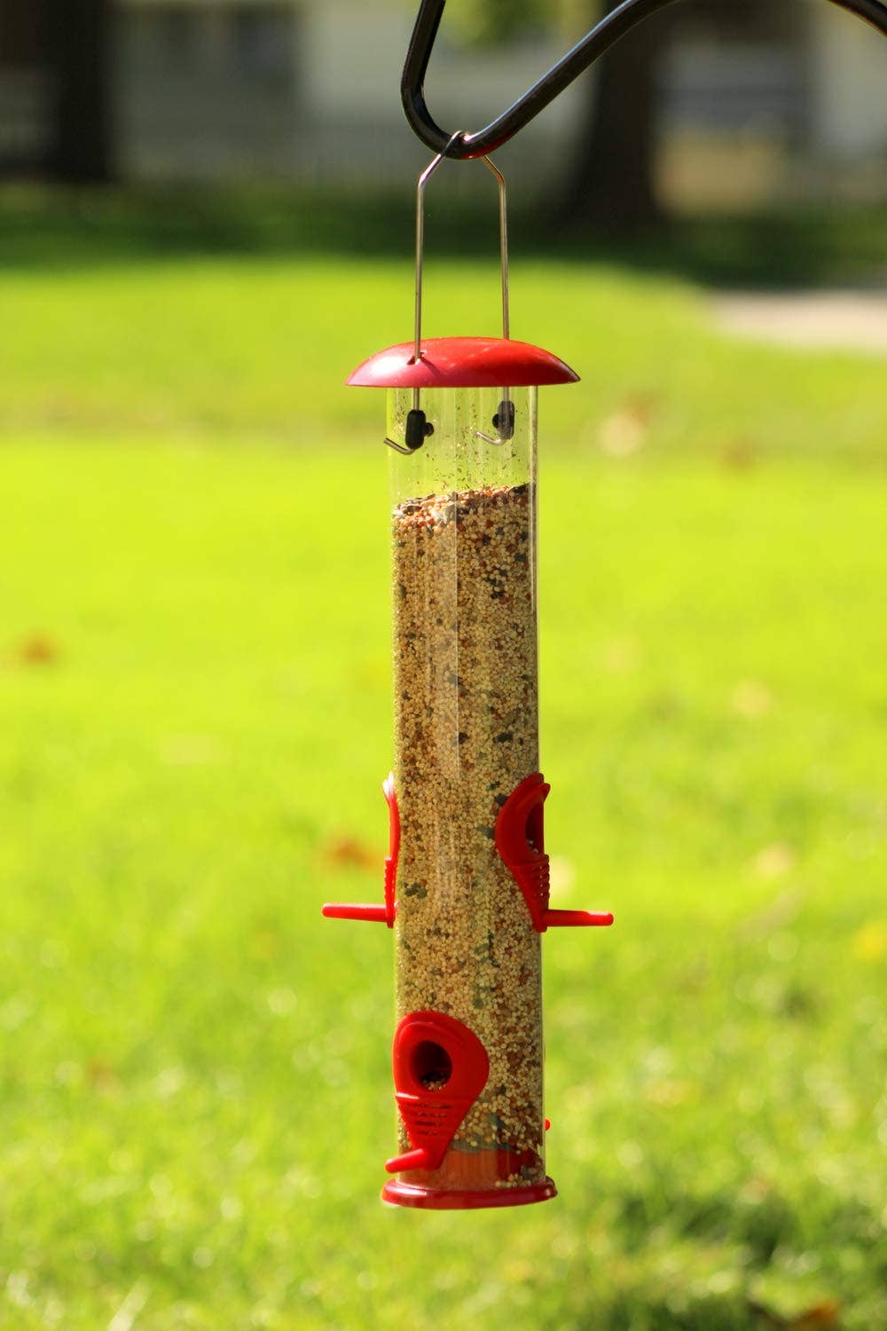 Ashman Bird Feeder, Metal Top and Bottom, Spacious Design, Attractive & Long Lasting