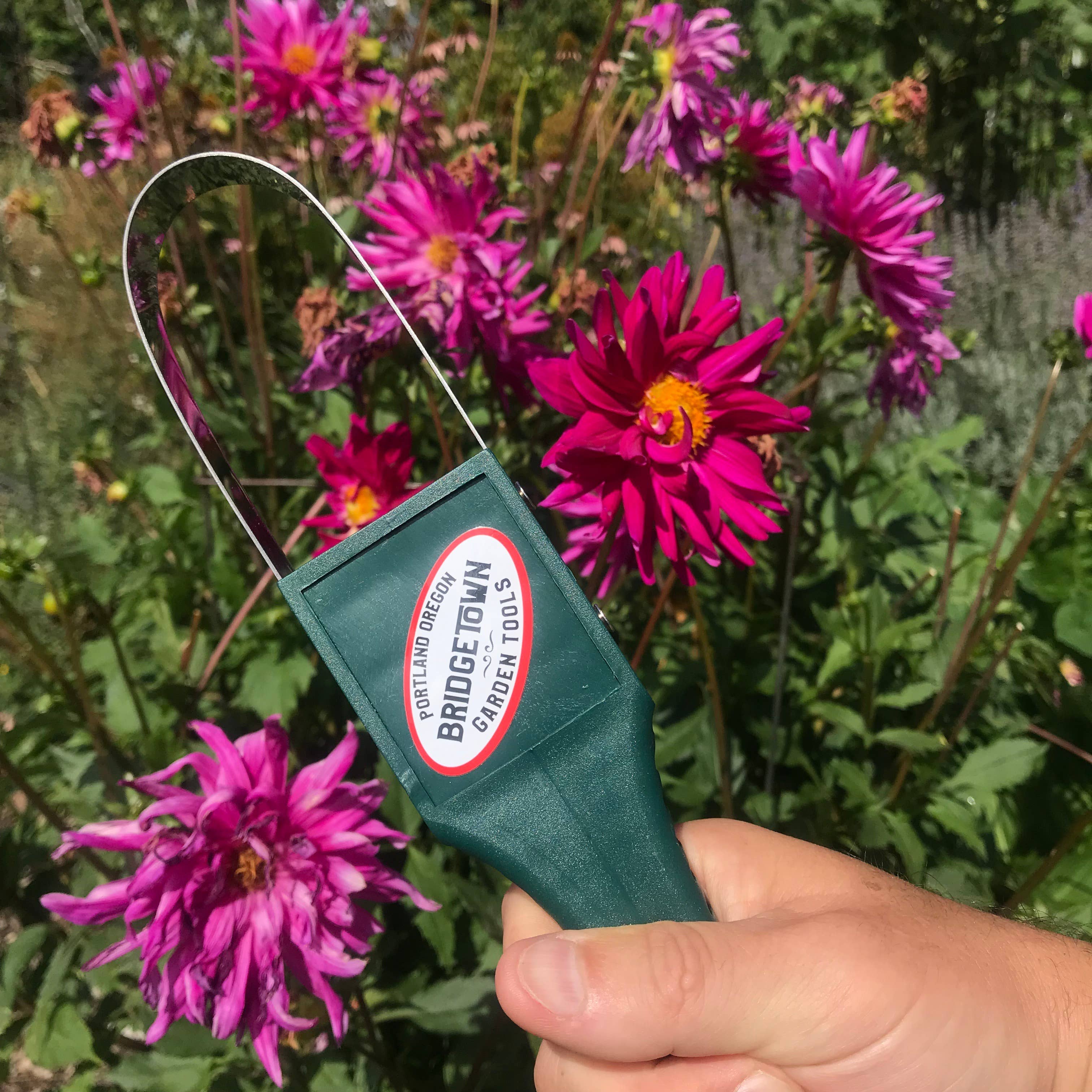 Garden Ninja Loop Weeder weeding between garden rows