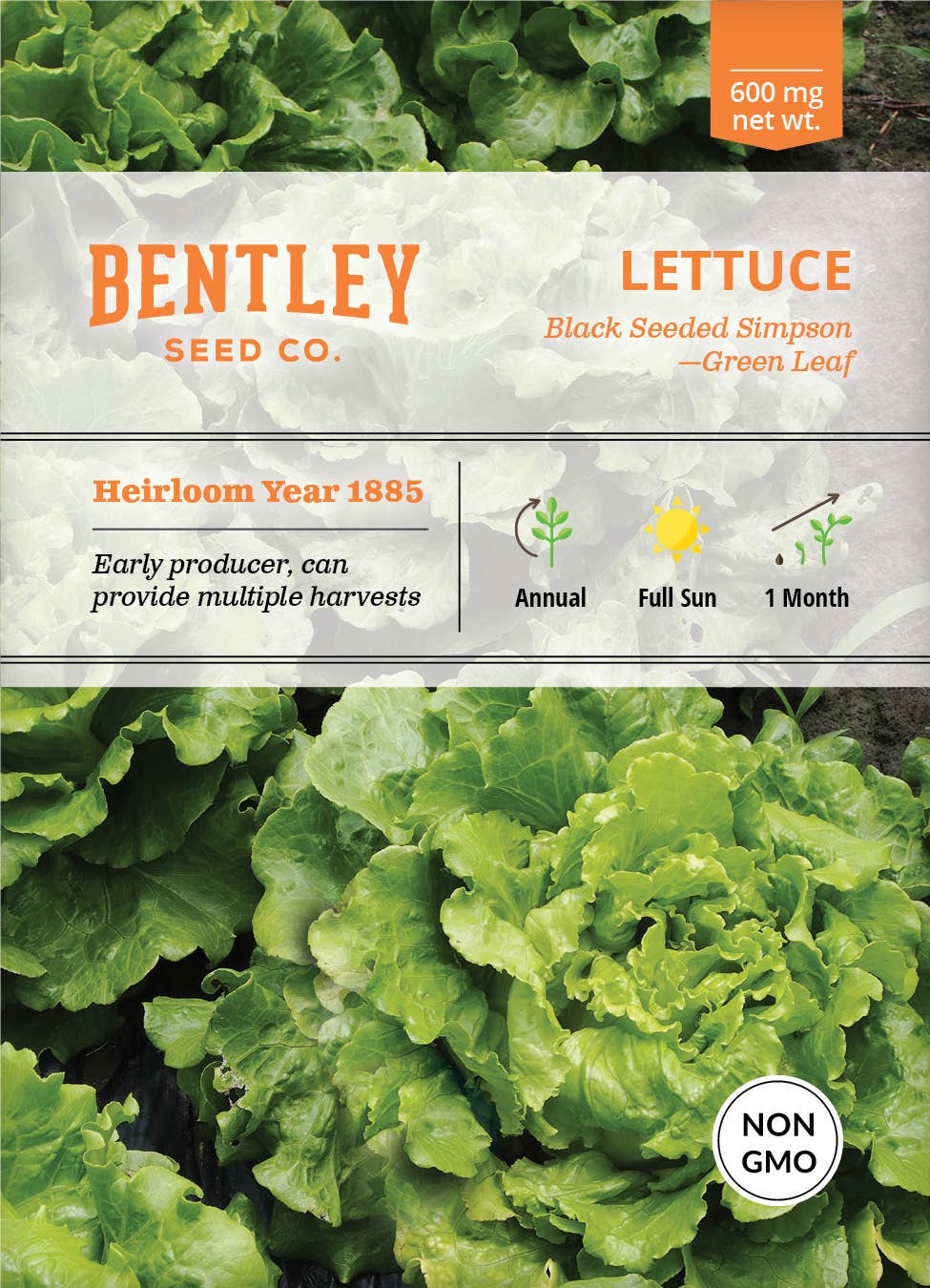 Lettuce Simpson's Curled seed packet