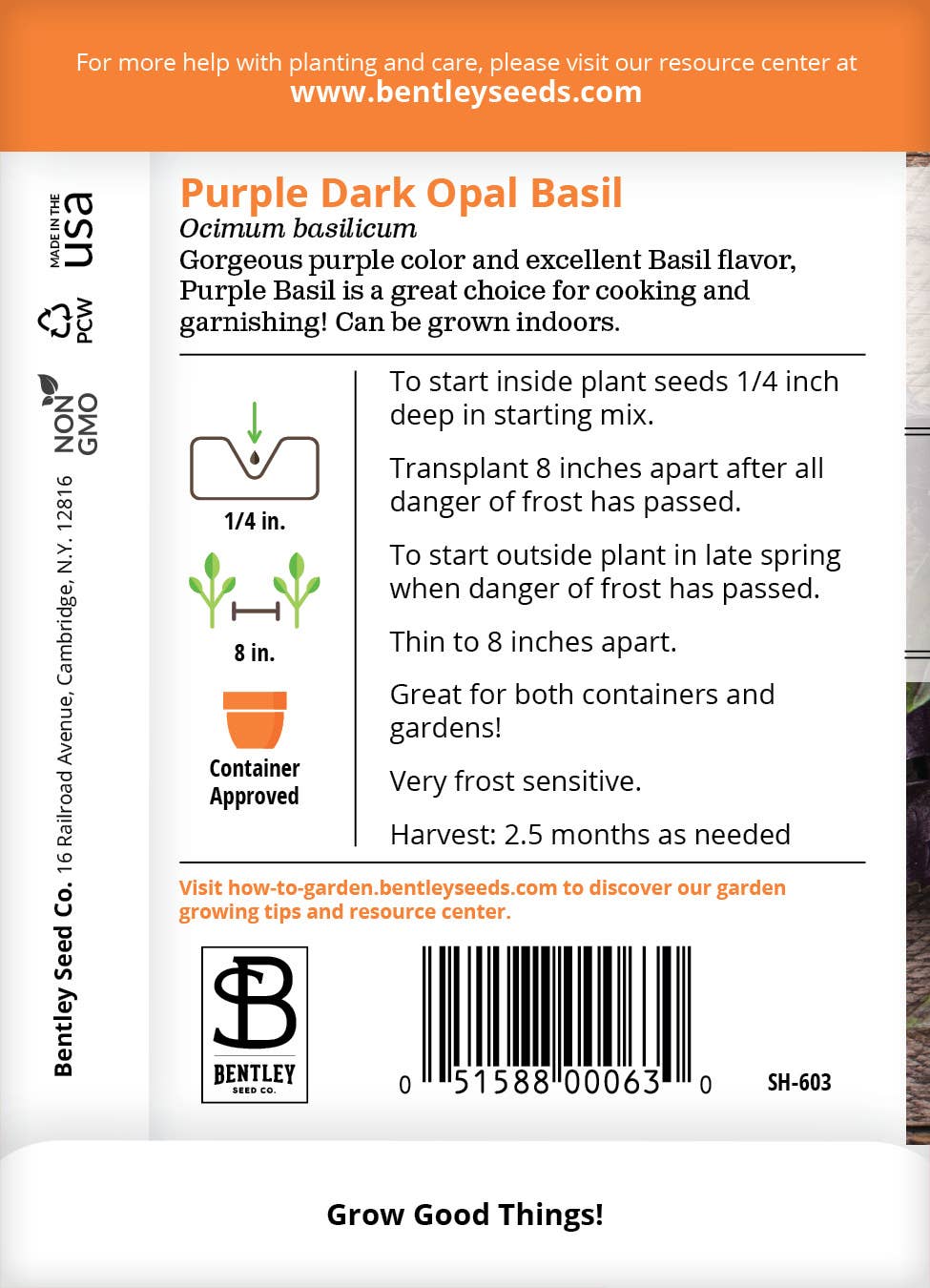 Basil-Purple Dark Opal