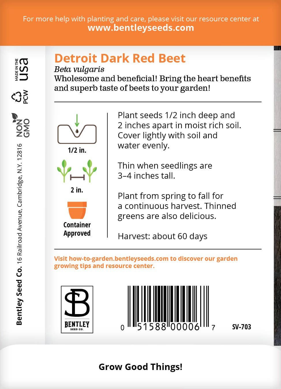 Beet-Detroit Dark Red
