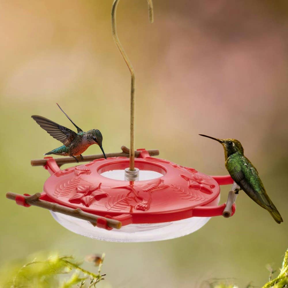 Pop's AspenPerch™ Hummingbird Feeder 8oz