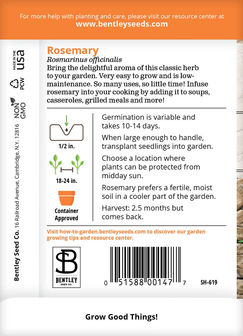 Rosemary Full Sun Perennial Plant Seeds