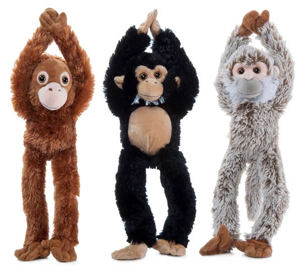 20" (50cm) Hanging Monkey Assort (Chimp, Orangutan, Sloth)