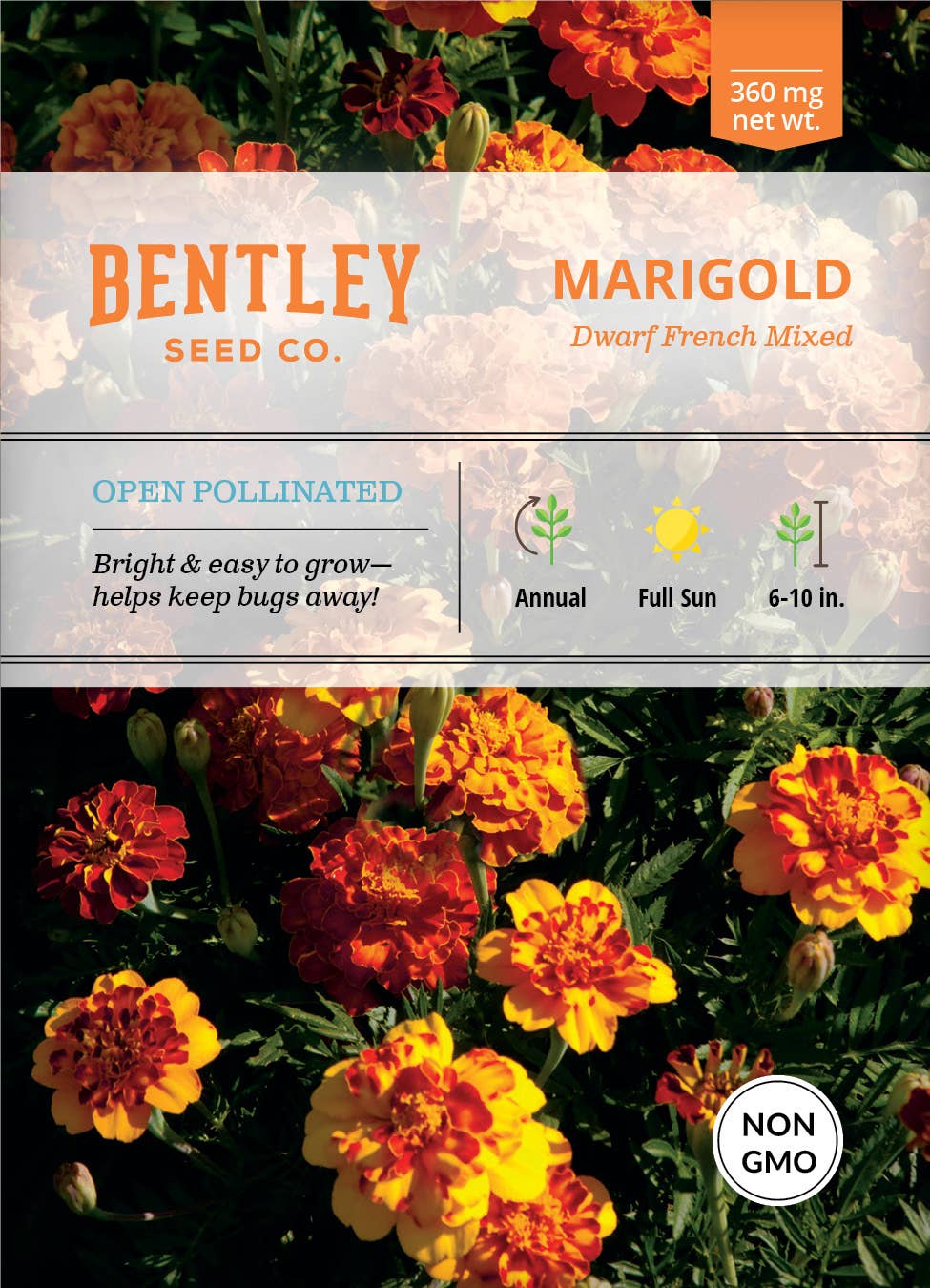Marigold Dwarf French mixed colors seed packet