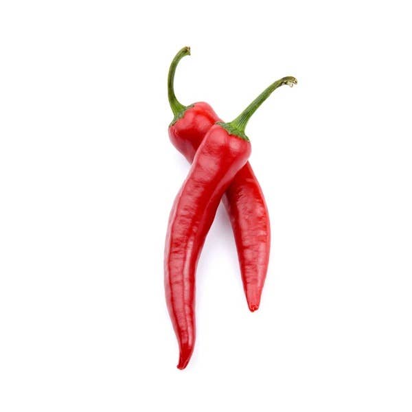 Pepper Long Red Cayenne harvested red peppers
