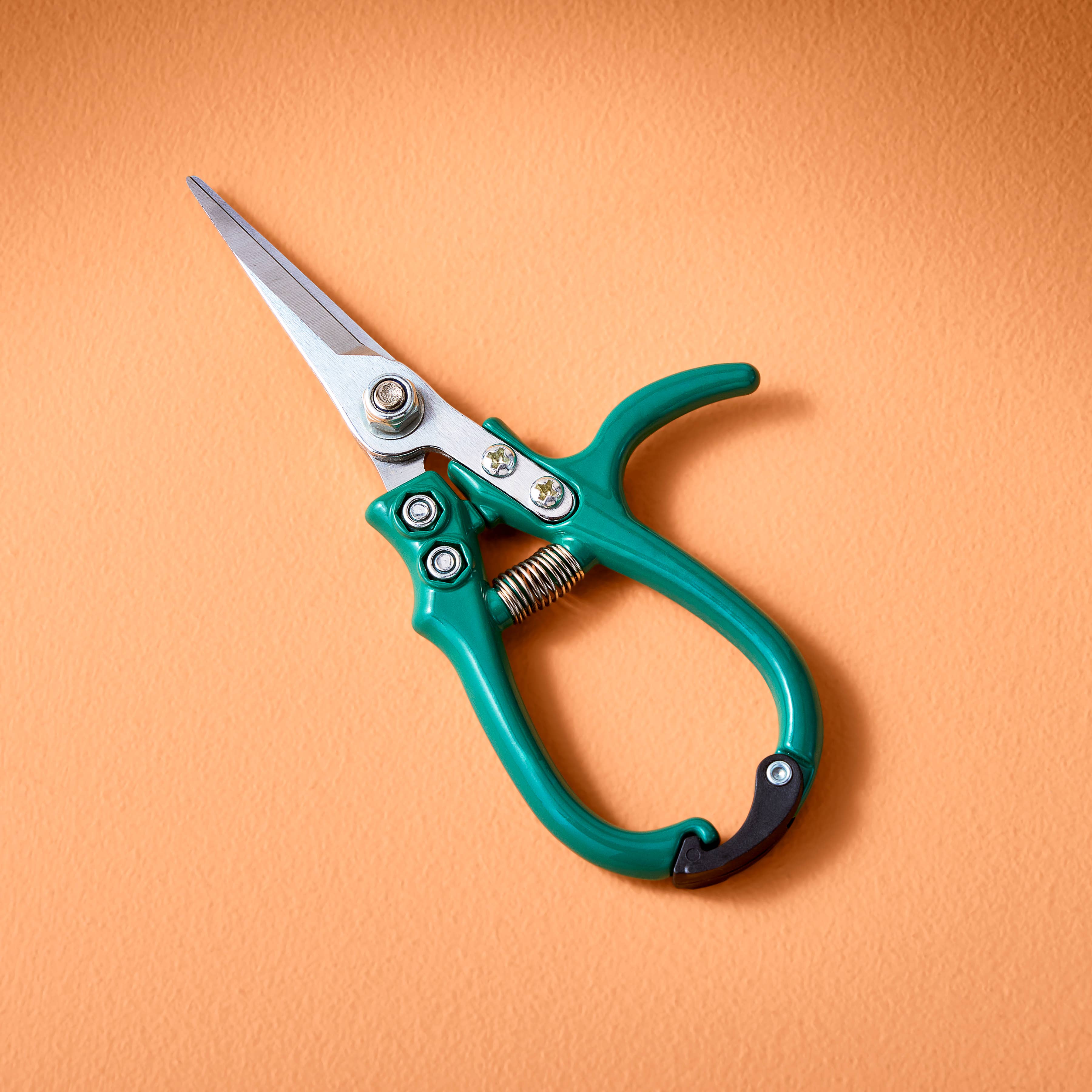 Garden shears in new color with open blades