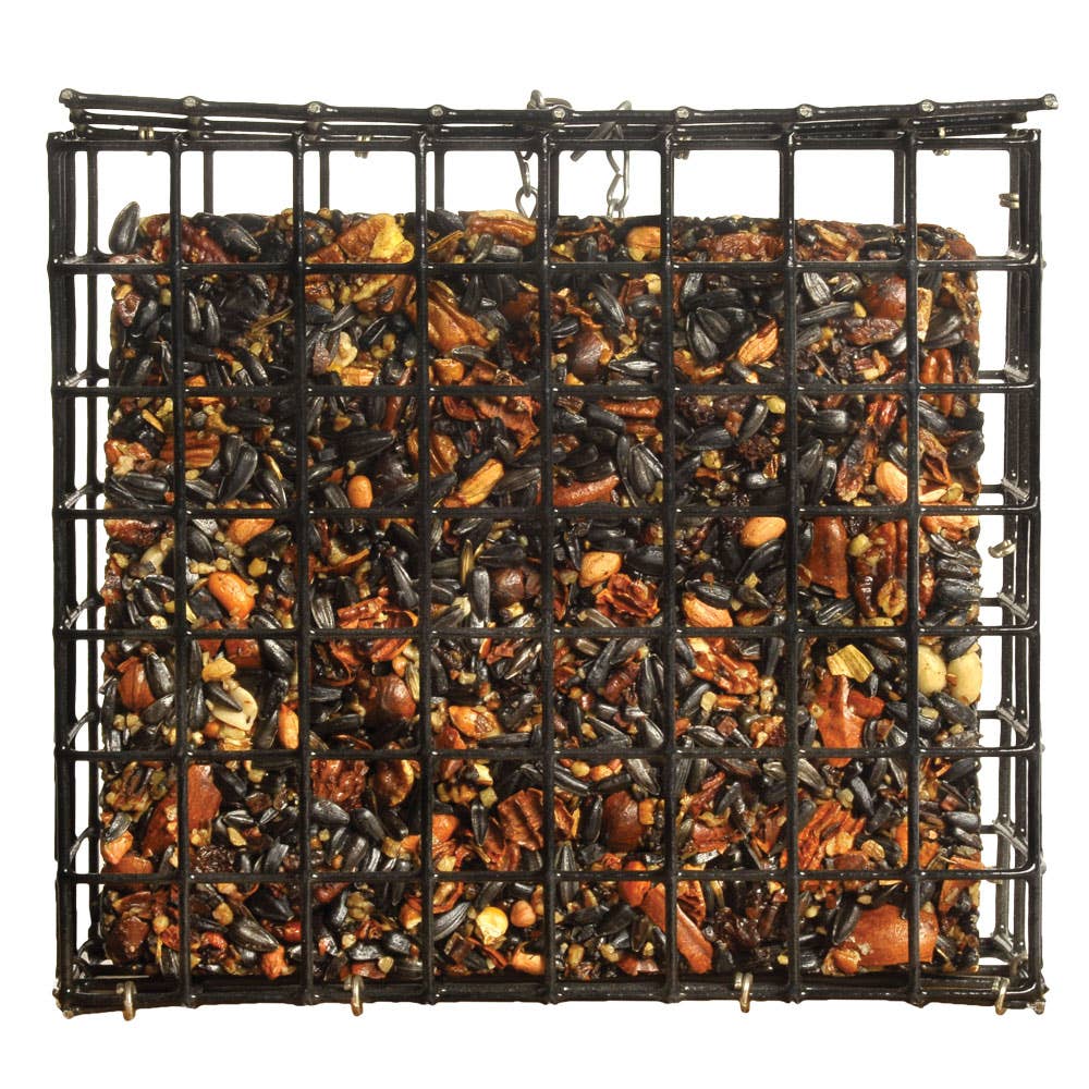 NeatFeeder bird feeder detail view