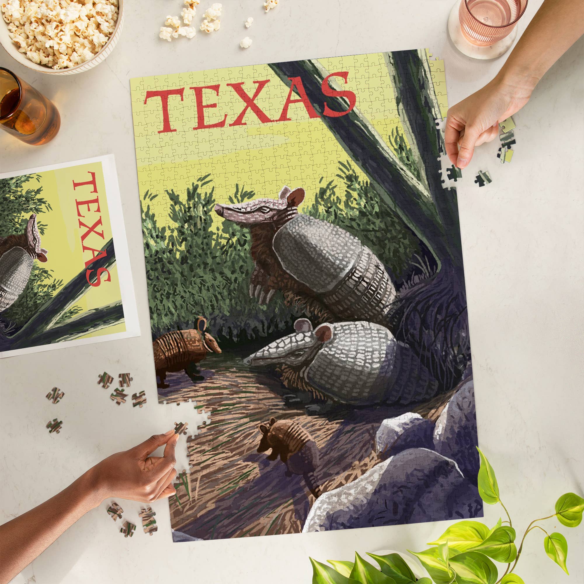 1000 PIECE PUZZLE Texas, Armadillo