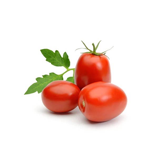 Roma Tomato seed packet planting instructions