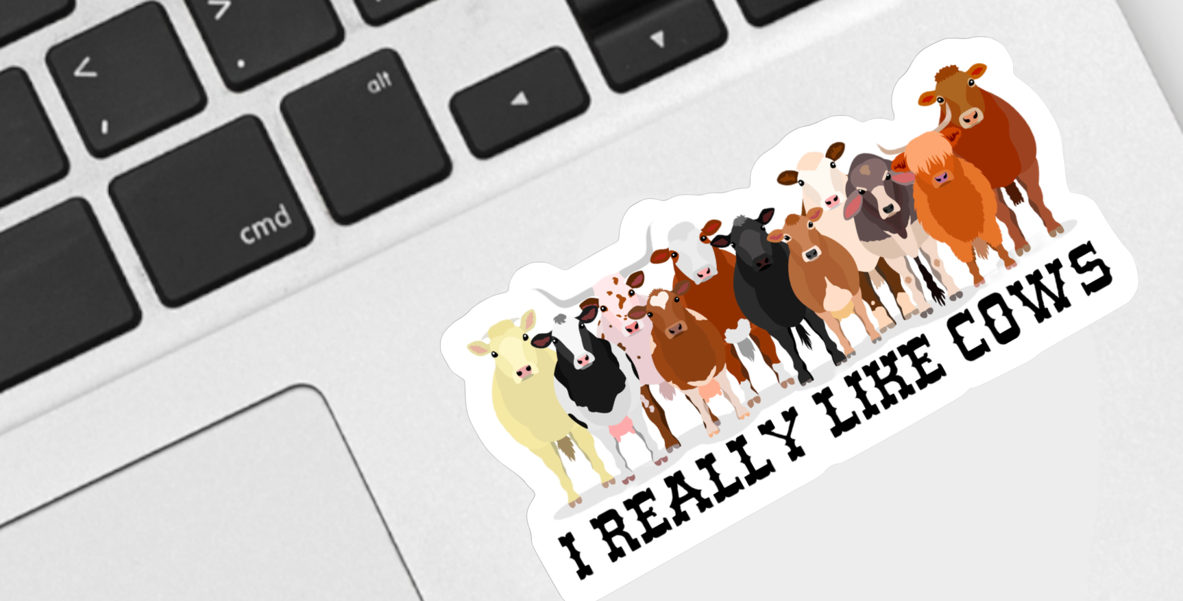 I Really Like Cows Sticker displayed on surface