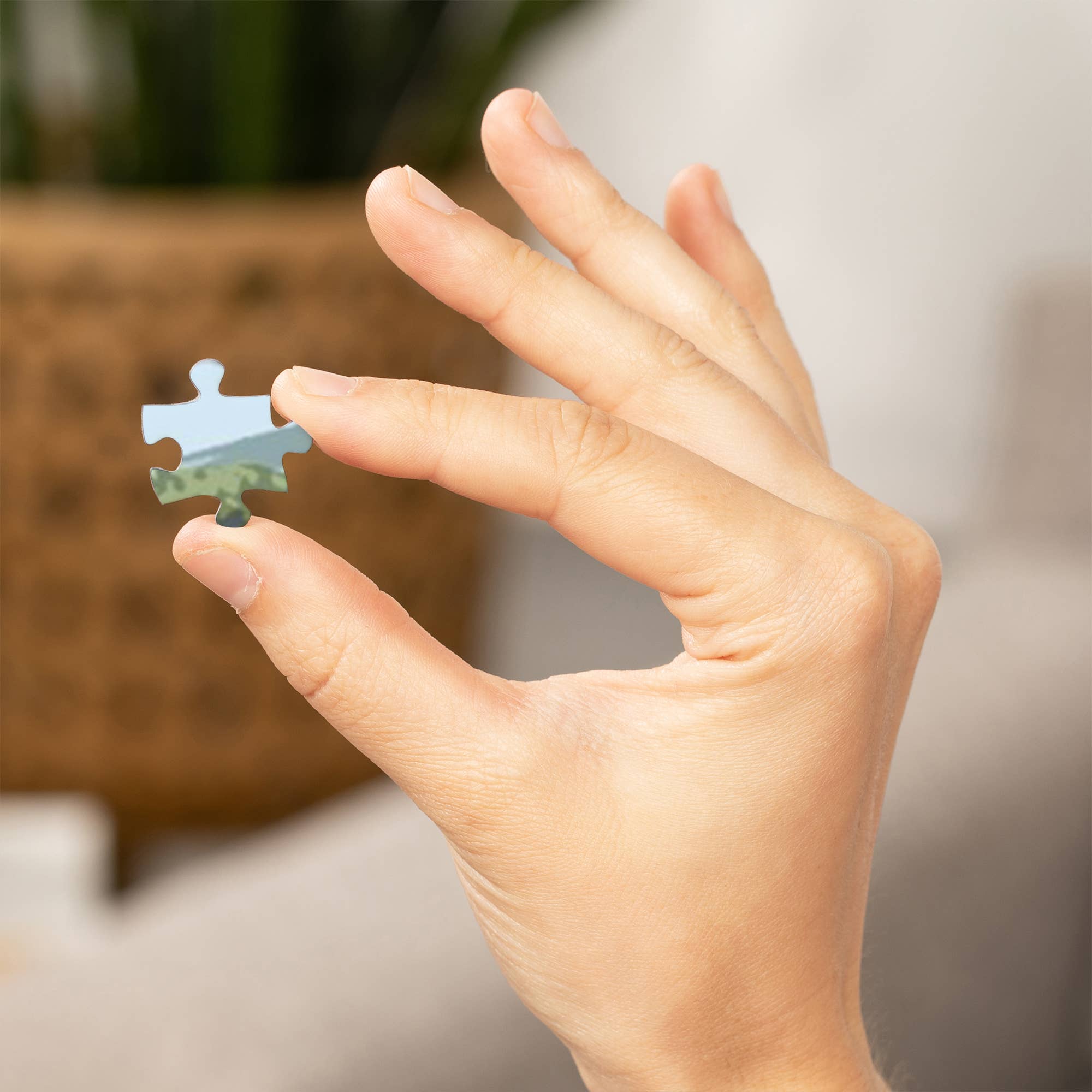 1000 PIECE PUZZLE Texas Hill Country, Texas, Bluebonnets