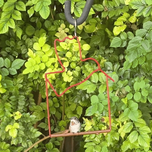 Hummingbird Swing Craft Red Bird hanging in garden
