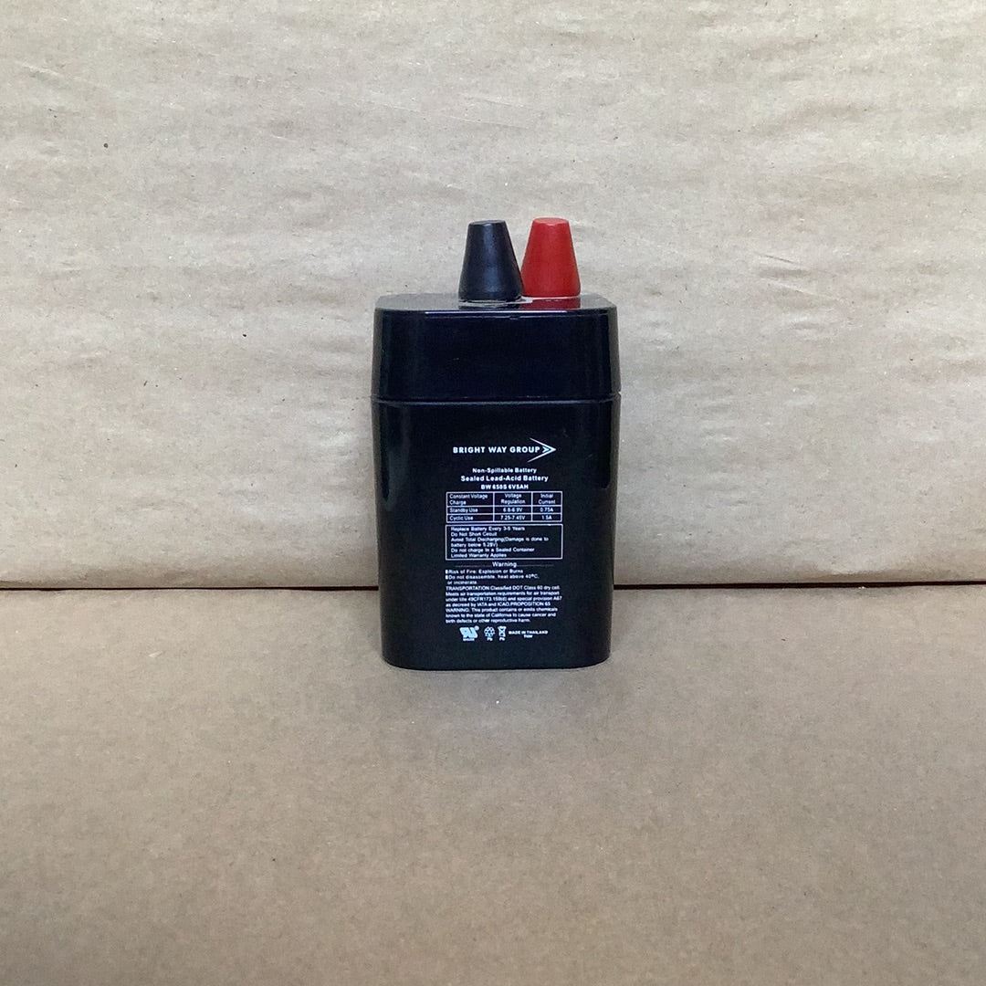 Bright Way rechargeable spring top battery front view