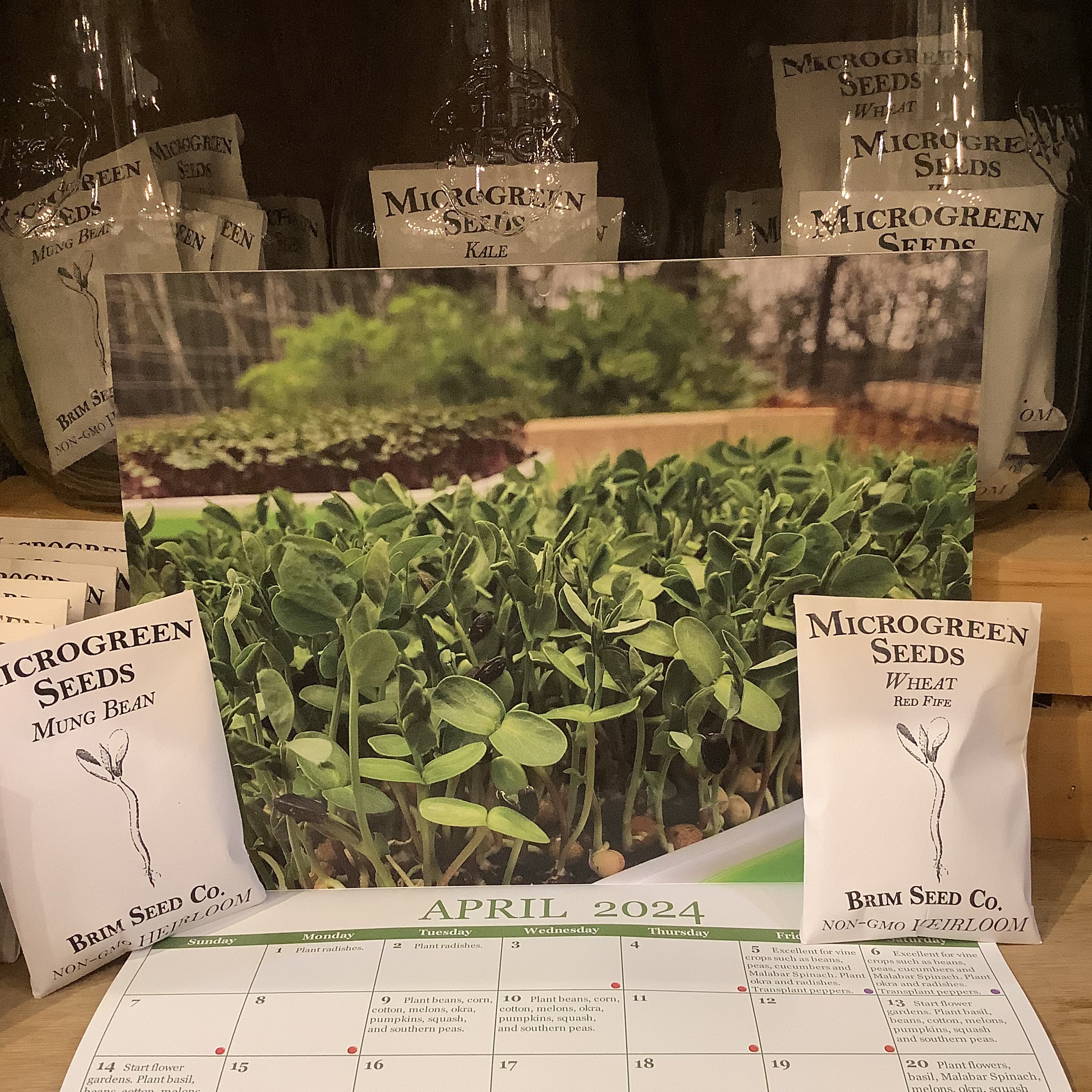 Brim Seed - 2026 Lunar Planting Calendar