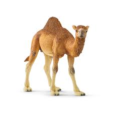 Schleich Camel collectible animal figurine