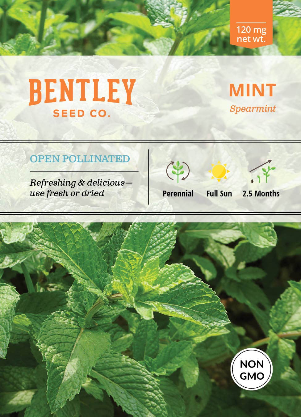 Spearmint herb seed packet