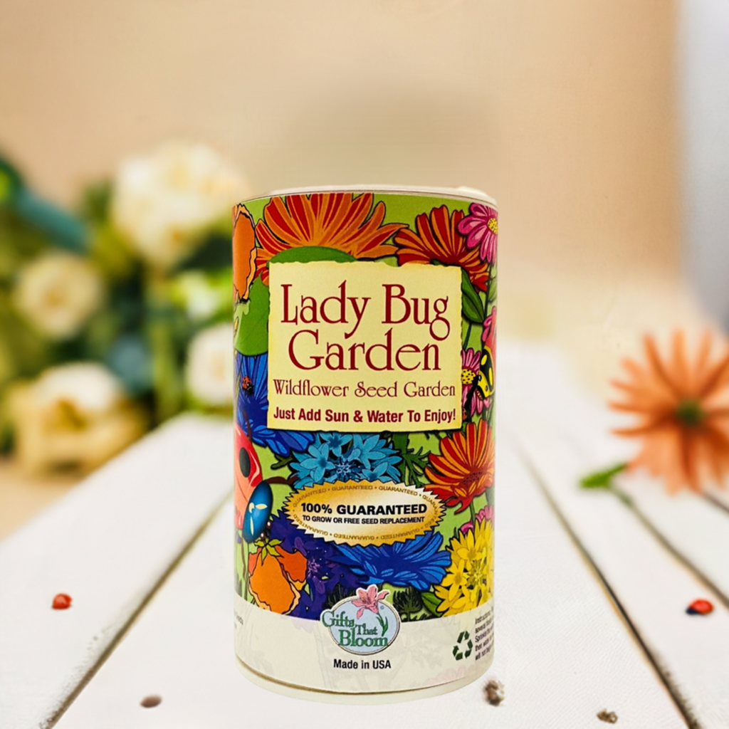 Lady Bug shaker can decorative garden planter front view