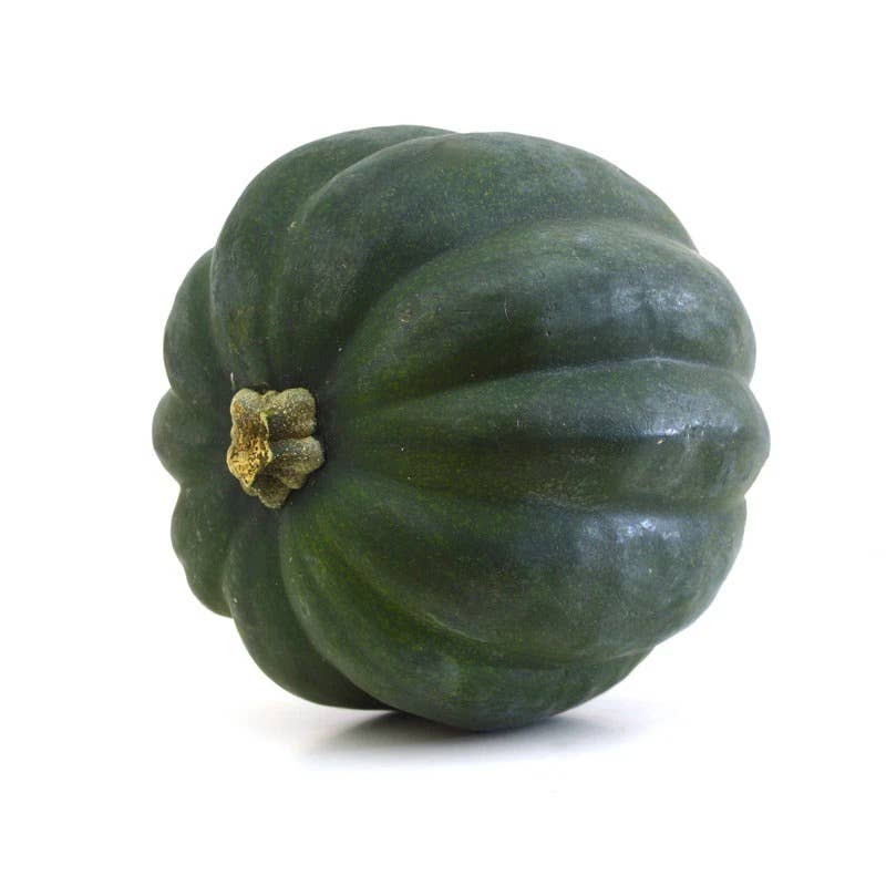 Harvested dark green Acorn Table Queen Squash