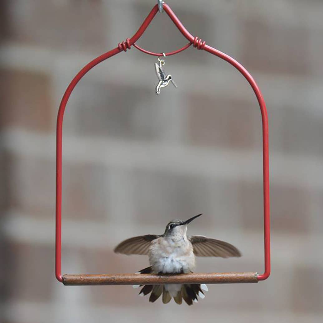 POP'S Charmed Hummingbird Swing (Red)
