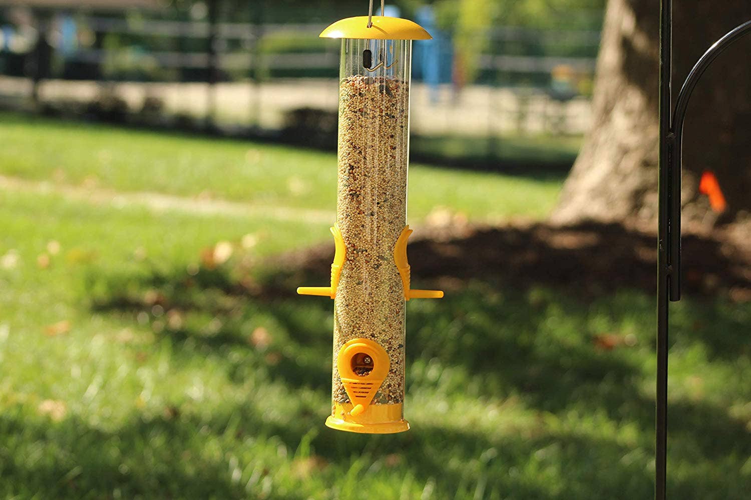 Ashman Bird Feeder, Metal Top and Bottom, Spacious Design, Attractive & Long Lasting