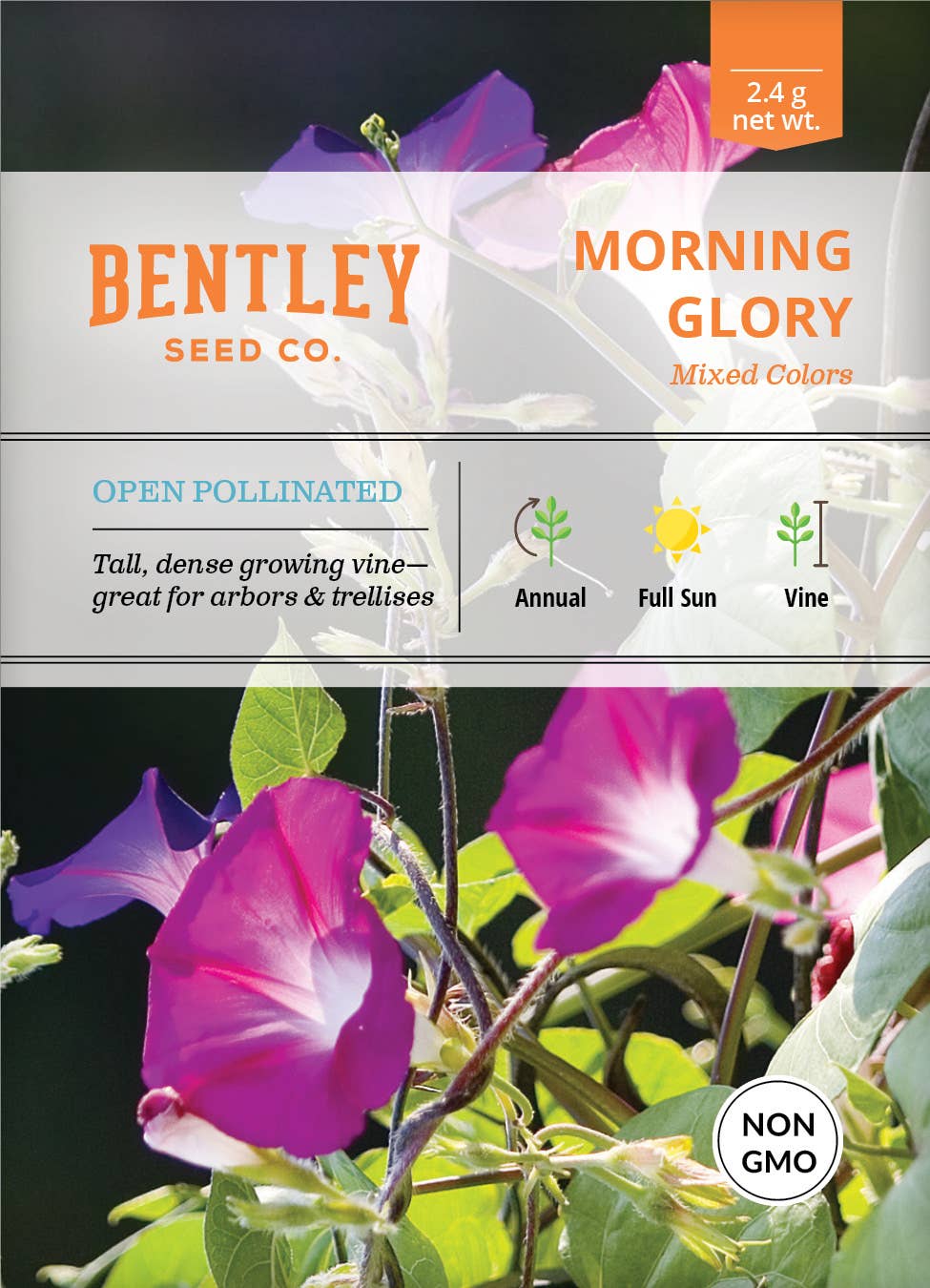 Morning Glory Mixed Colors Ipomoea seed packet