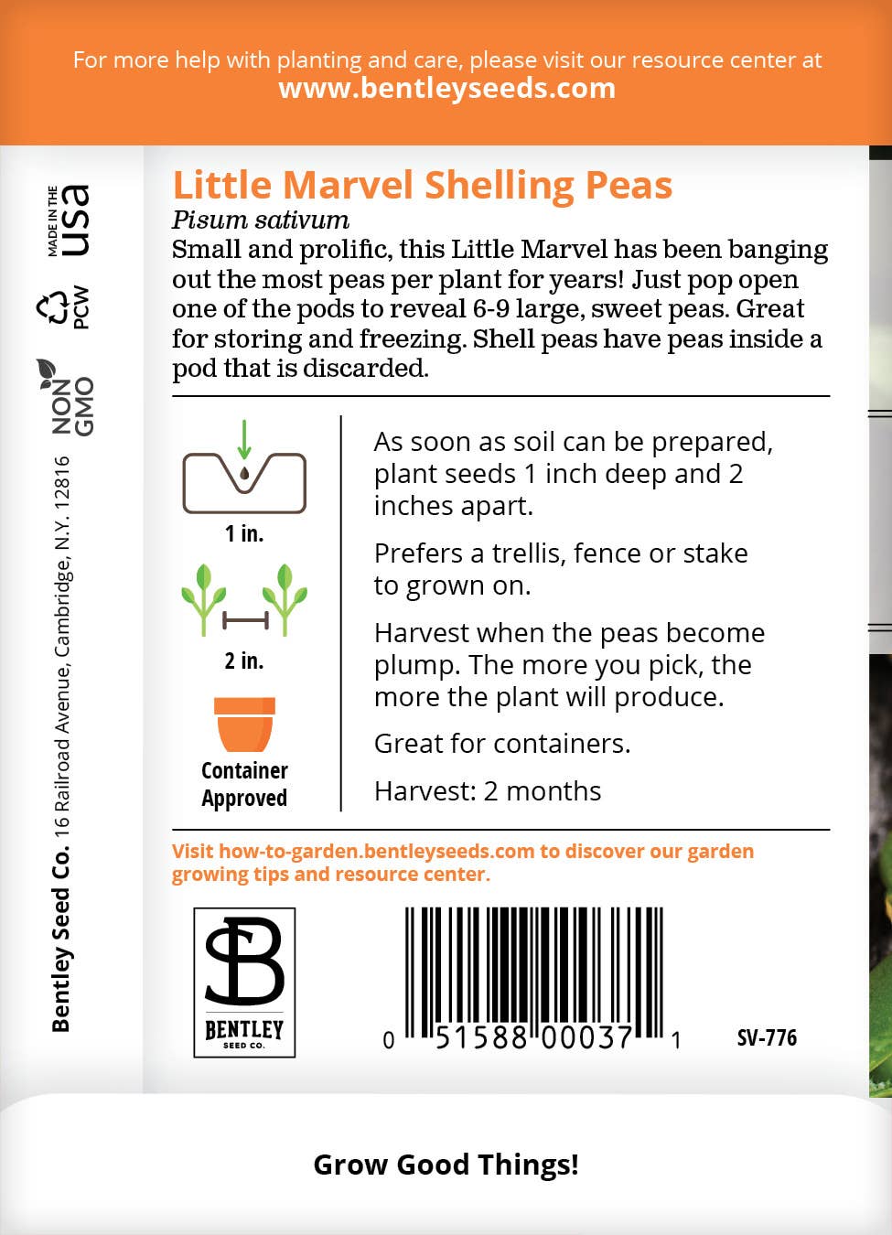 Pea Little Marvel shelled green peas