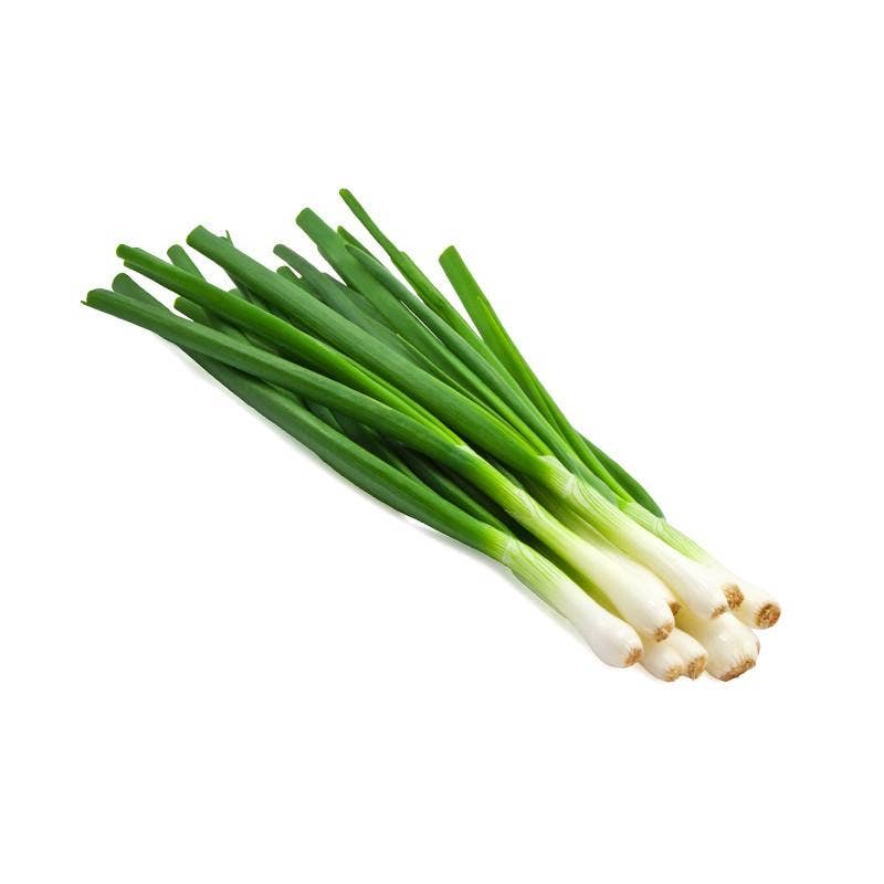Onion Evergreen Bunching growing in garden
