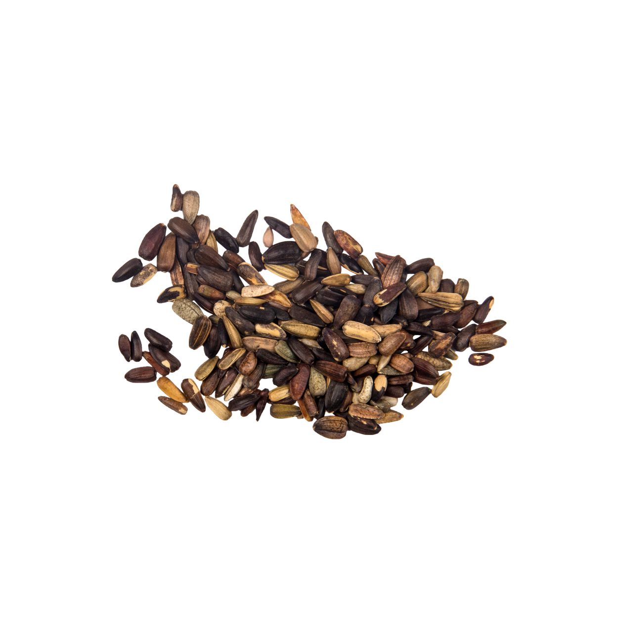 Brim Seed Co. - Autumn Beauty Sunflower Seed