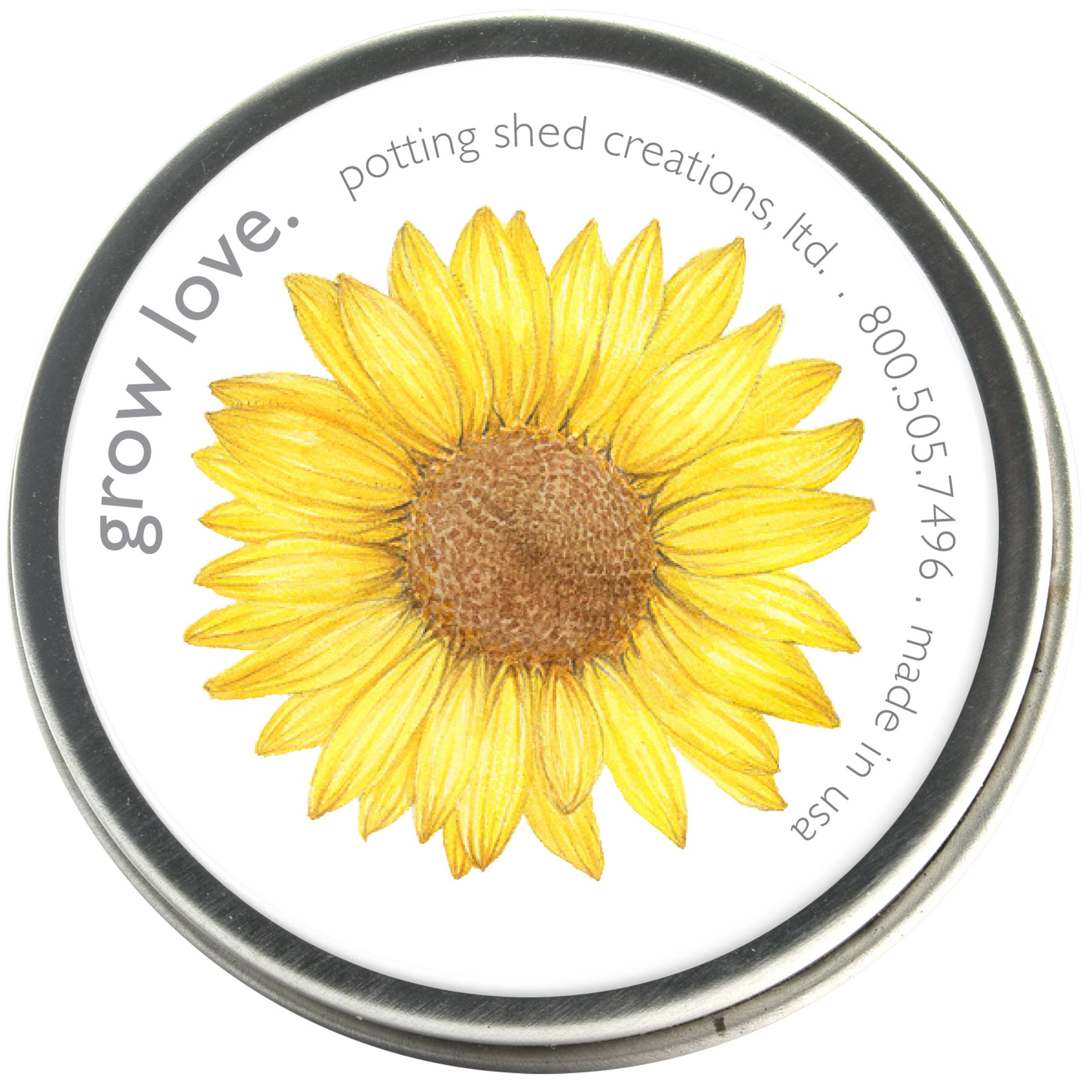 Garden Sprinkles Grow Love Sunflower blooming in garden