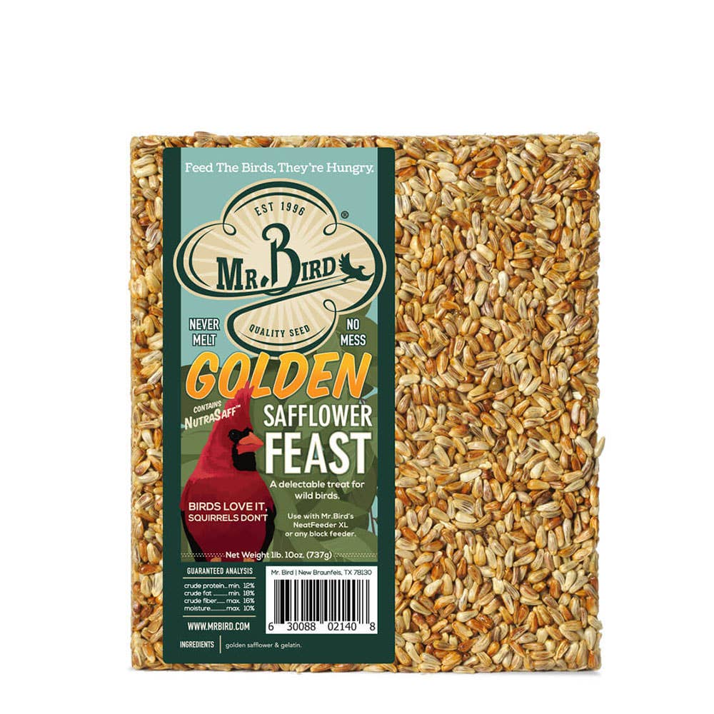 Golden Safflower Cake close-up of seed texture
