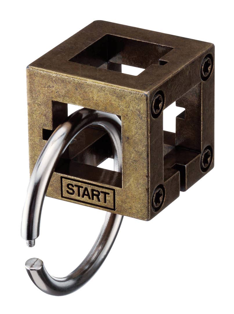 Hanayama Cast Box Level 2 metal brain teaser puzzle