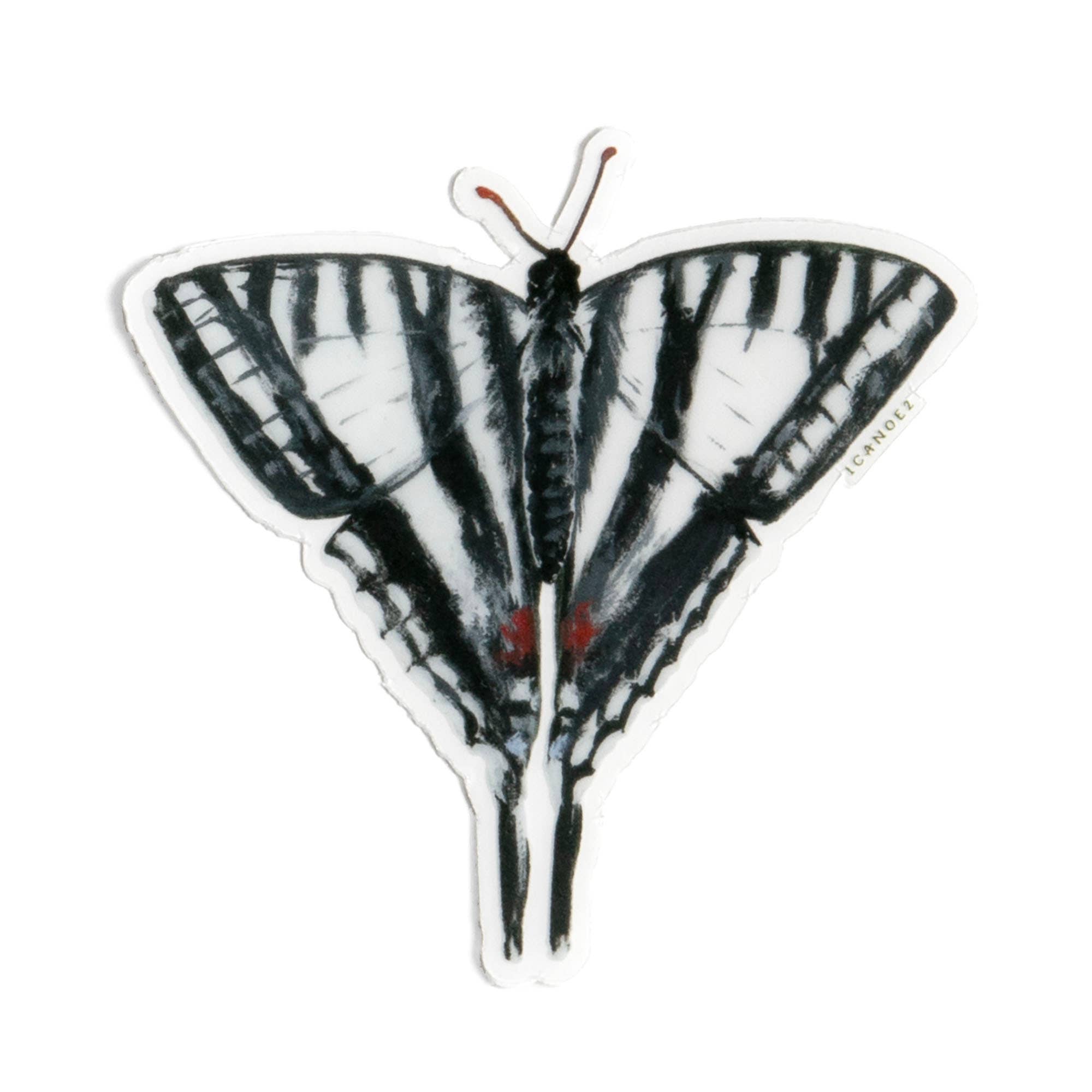 Zebra Swallowtail Butterfly Clear Decal Sticker
