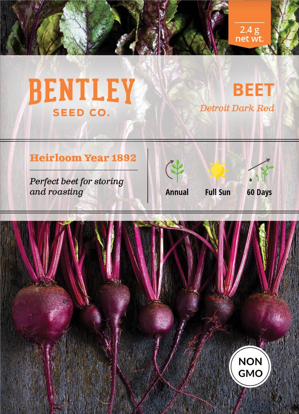 Beet-Detroit Dark Red