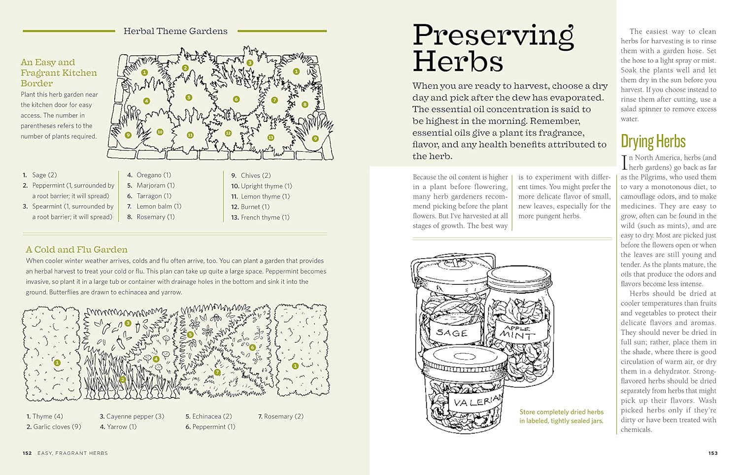 The Backyard Homestead: Produce All The Food You Need On Just A Quarter Acre! - b y Carleen Madigan
