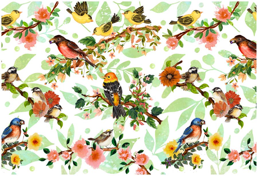 Birds & Branches