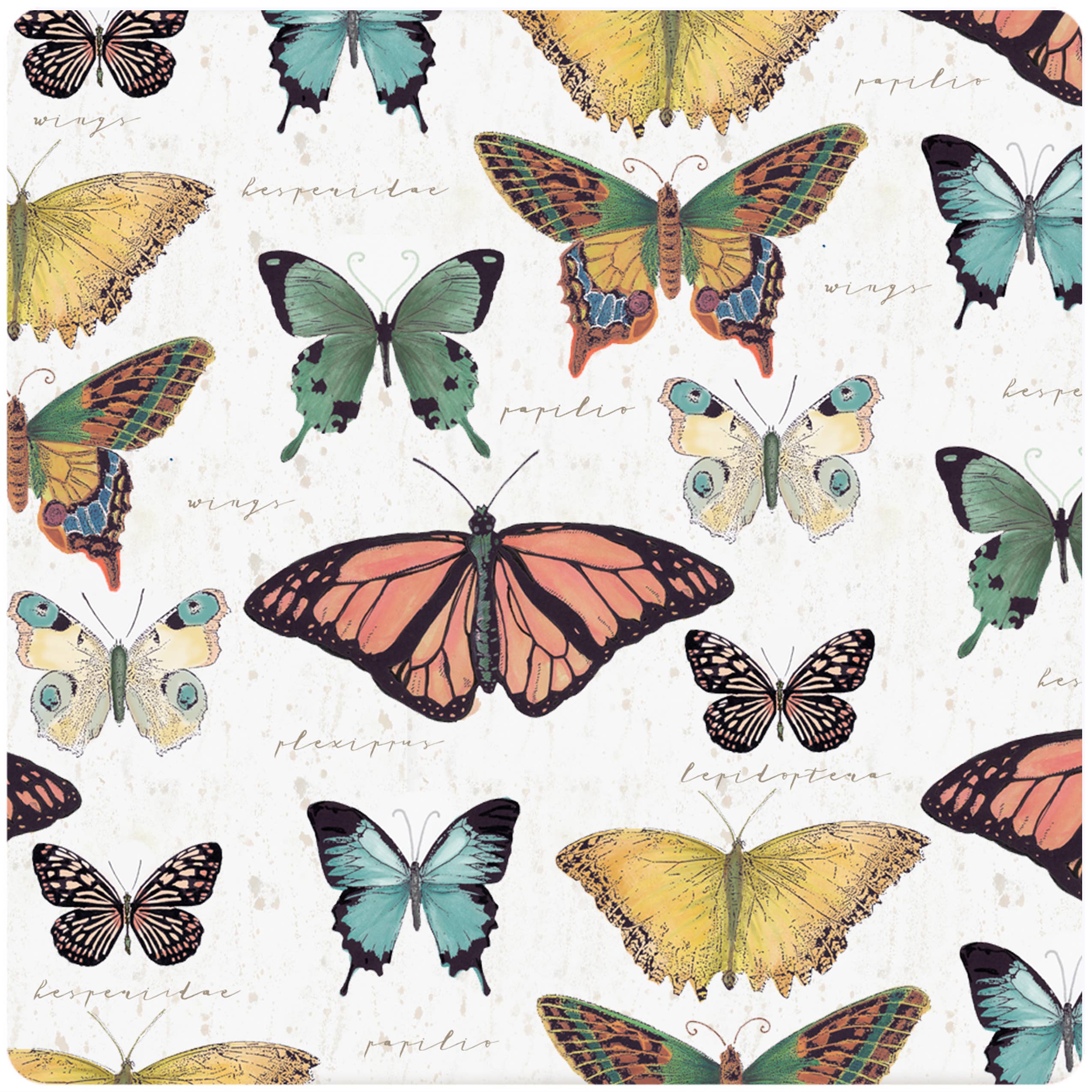 Andreas - GG Butterfly Jar Opener