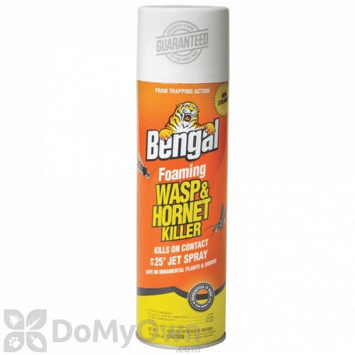 Bengal - Foaming Wasp and Hornet Spray