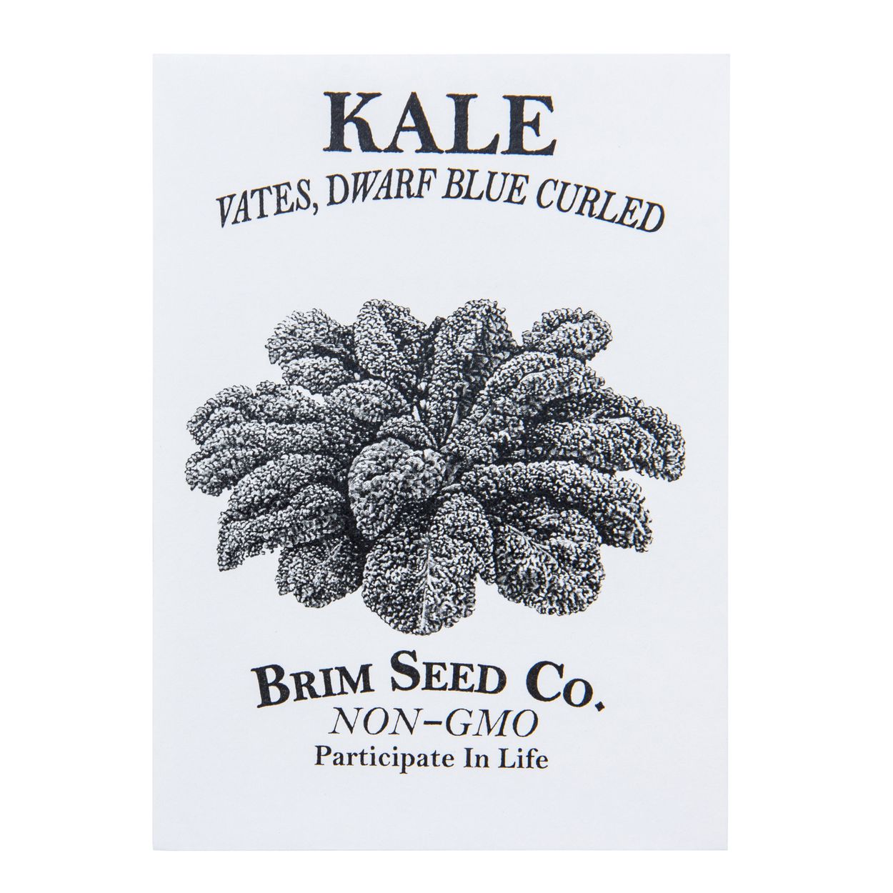 Brim Seed Co. - Vates Dwarf Blue Curled Kale Greens Seed